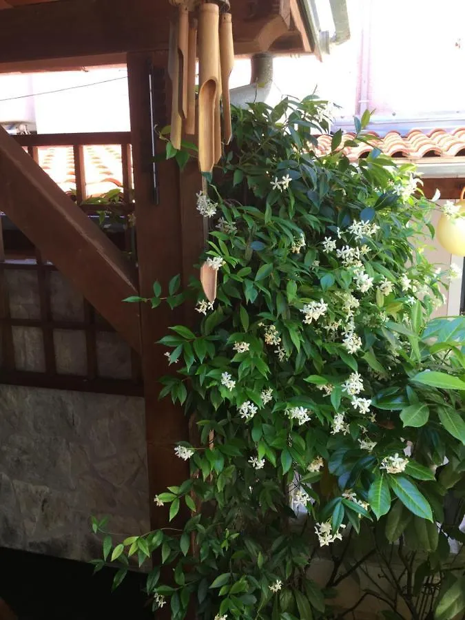 Apartment Garden 0*, Malinska
